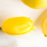 Fragrance & Body Care