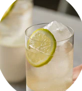 Highball Glasses