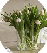 Vases