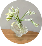 Home Décor