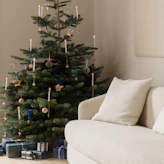 Christmas trees